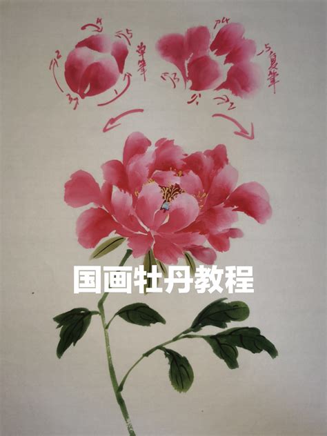 牡丹花畫|【国画教程】正经国画牡丹教程，半个小时详细讲解，跟着就能学…